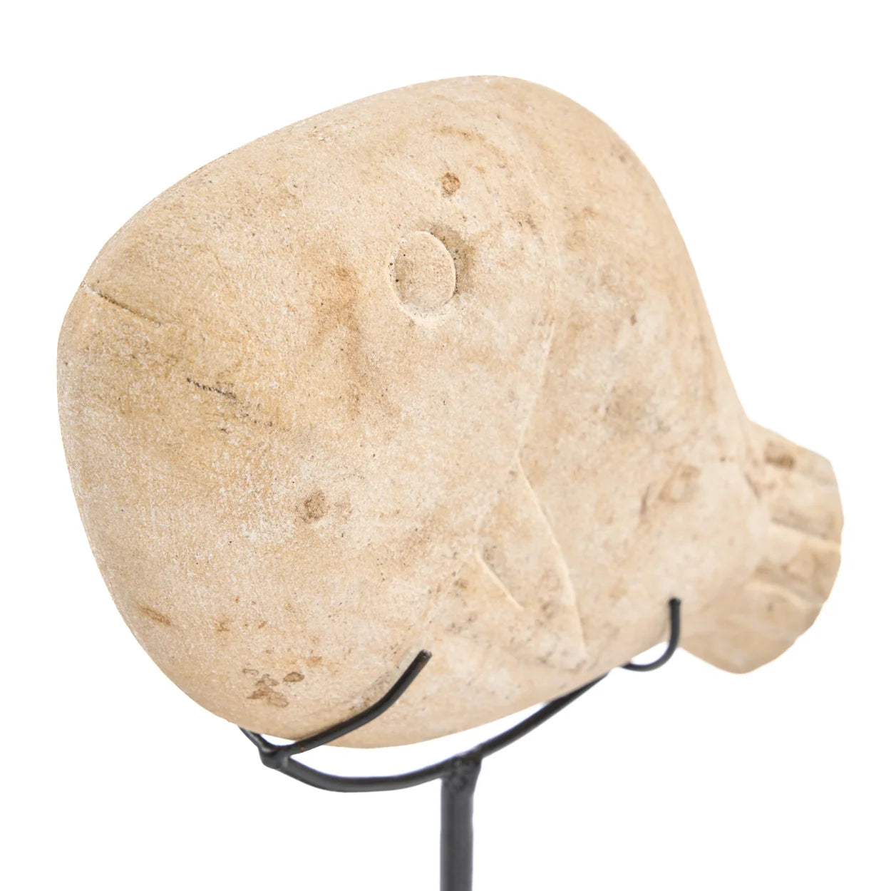 The Fish Stone On Stand