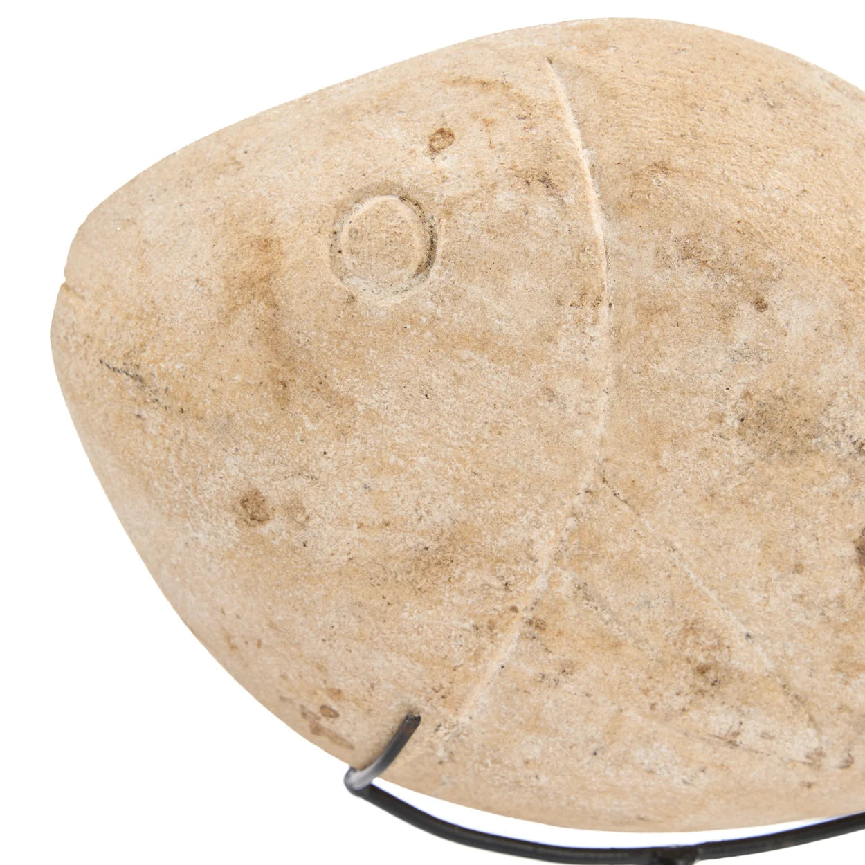 The Fish Stone On Stand