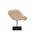 The Fish Stone On Stand